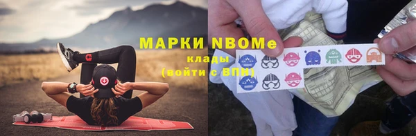стафф Алзамай